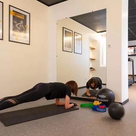 Отель Ibis Styles En Velay 3*