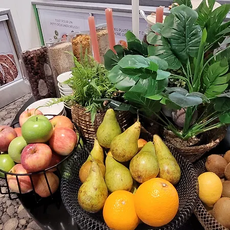 Отель Ibis Styles En Velay