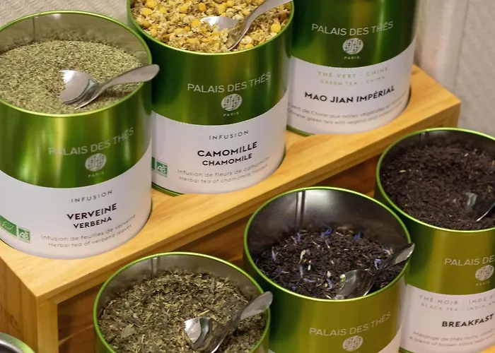 Hotell Ibis Styles En Velay